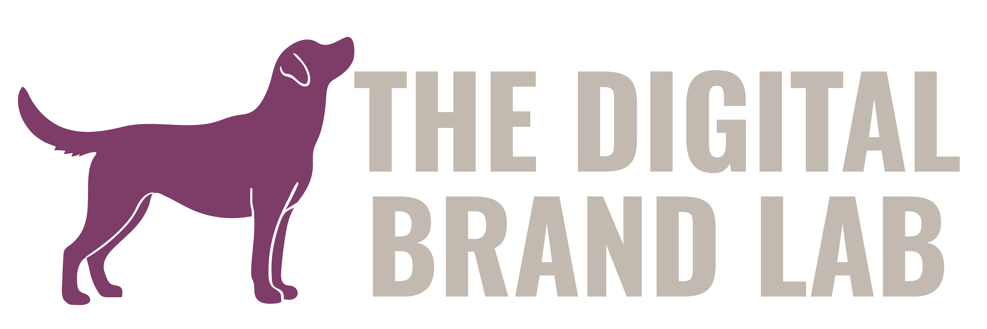 The Digital Brand Lab